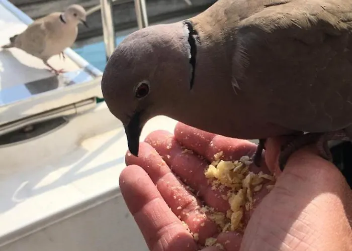 Sejour De Reve Avec Parking Inclus *